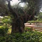 Villa Authentic Andalucia *