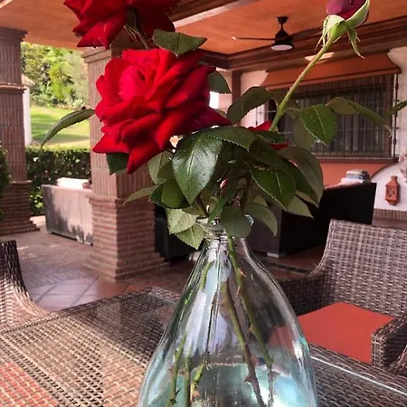 Villa Authentic Andalucia Marbella