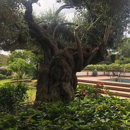 Villa Authentic Andalucia *