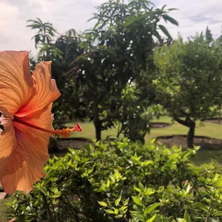 Authentic Andalucia Villa