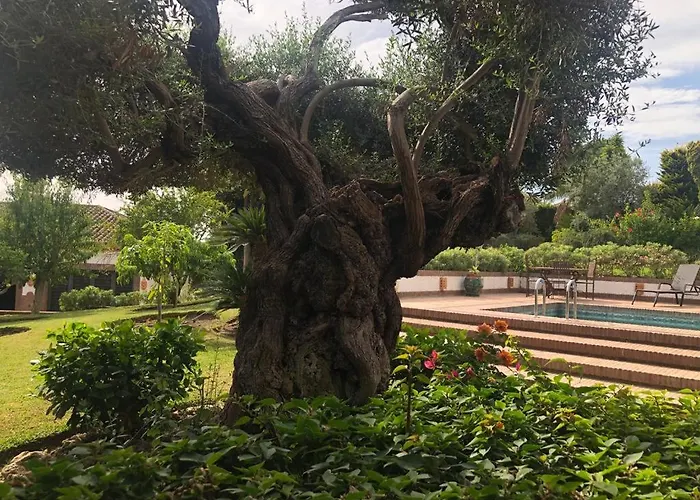 빌라 Authentic Andalucia *