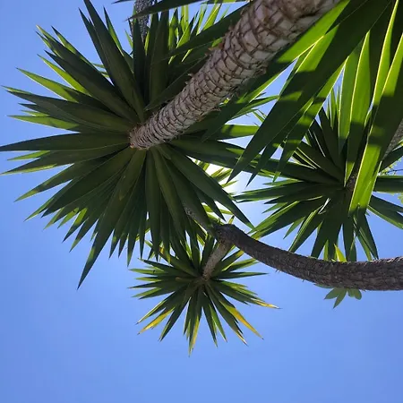 Authentic Andalucia 빌라 *